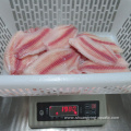 Cheap Frozen Light Sttp Co Treated Tilapia Fillet
